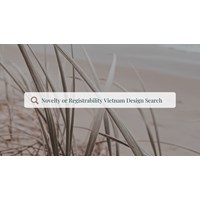 Choose the Right Vietnam Design Search: Novelty or Registrability