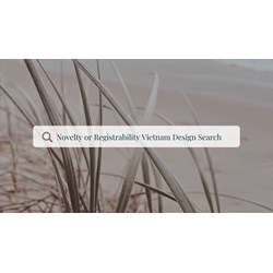 Choose the Right Vietnam Design Search: Novelty or Registrability