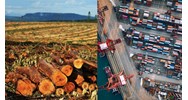 Quy định về nhập khẩu nguyên liệu mã A12 và mã A41 vào sản xuất?
