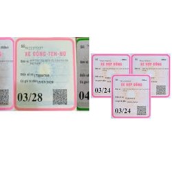 Các loại xe nào cần phải dán phù hiệu xe theo quy định?