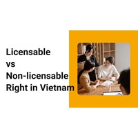 Vietnam's IP: A Guide to Licensable vs. Non-Licensable Rights