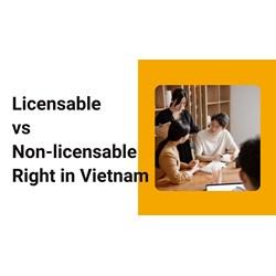 Vietnam's IP: A Guide to Licensable vs. Non-Licensable Rights