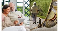 Tiền lương hưu có phải đóng thuế thu nhập cá nhân không?