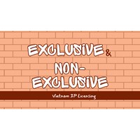 Vietnam IP Licensing: Exclusive vs. Non-Exclusive Right Explained