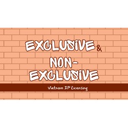 Vietnam IP Licensing: Exclusive vs. Non-Exclusive Right Explained