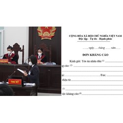 Đơn kháng cáo gửi đến Tòa án sơ thẩm hay Tòa án phúc thẩm?