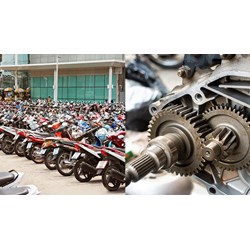 Điều khiển xe máy 50 phân khối không có Giấy phép lái xe có bị phạt?