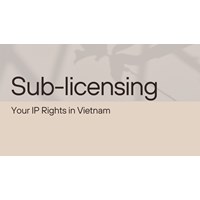 Multiple Revenue Streams: Sub-licensing Your IP Rights in Vietnam