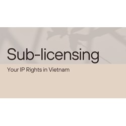 Multiple Revenue Streams: Sub-licensing Your IP Rights in Vietnam