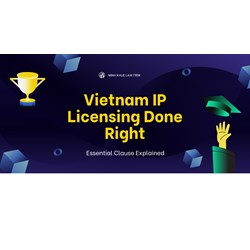 Vietnam IP Licensing Done Right: Essential Clauses Explained