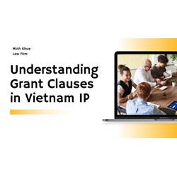 Understanding Grant Clauses in Vietnam IP Licenses