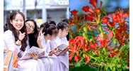 Lời chúc nghỉ hè tới thầy cô và bạn bè trong lớp hay, ý nghĩa nhất