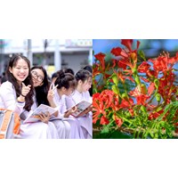 Lời chúc nghỉ hè tới thầy cô và bạn bè trong lớp hay, ý nghĩa nhất
