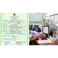 Thủ tục cải chính thông tin trên Giấy khai sinh như thế nào?