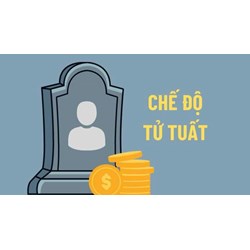 Mức nhận trợ cấp tử tuất hàng tháng là bao nhiêu?