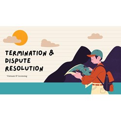 Vietnam IP Licensing: Termination & Dispute Resolution