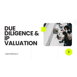 Vietnam IP Licensing Negotiations: Due Diligence & IP Valuation