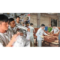 Thẩm quyền thành lập khu dạy nghề ngoài trại giam cho phạm nhân?