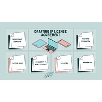 Best Practices for Drafting an IP Licensing Agreement in Vietnam