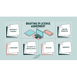 Best Practices for Drafting an IP Licensing Agreement in Vietnam