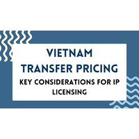 Vietnam Transfer Pricing: Key Considerations for IP Licensing