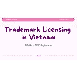 Trademark Licensing in Vietnam: A Guide to NOIP Registration