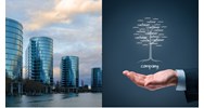 Công ty mẹ có quyền chi phối các công ty con như thế nào?