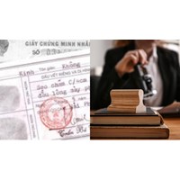 Tại sao một số bản sao y lại có thời hạn sử dụng khác nhau?