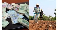 Các trường hợp nào được miễn giảm tiền sử dụng đất cập nhật mới nhất?