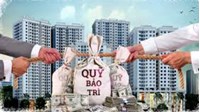 Thời hạn bàn giao quỹ bảo trì nhà chung cư cho Ban quản trị là bao lâu?