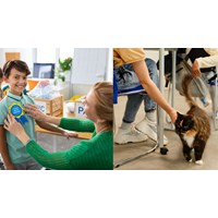 Dàn ý Nghị luận Học sinh với vấn đề xây dựng trường học thân thiện