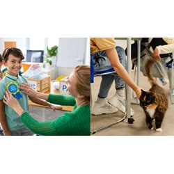 Dàn ý Nghị luận Học sinh với vấn đề xây dựng trường học thân thiện