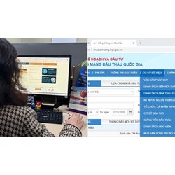 Hướng dẫn tra cứu thông tin nhà thầu trên hệ thống đấu thầu quốc gia?