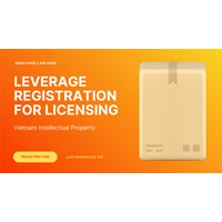 Vietnam IP: Leverage Registration for Stronger Licensing