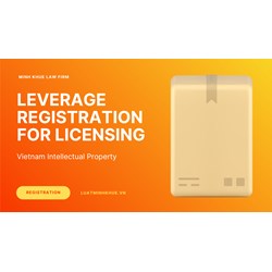 Vietnam IP: Leverage Registration for Stronger Licensing