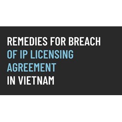 Remedies for Breach of IP Licensing Agreements in Vietnam