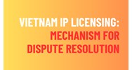 Vietnam IP Licensing Conflict: Mechanism for Resolving Disputes