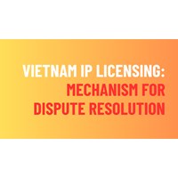 Vietnam IP Licensing Conflict: Mechanism for Resolving Disputes
