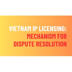 Vietnam IP Licensing Conflict: Mechanism for Resolving Disputes