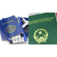 Phân loại visa theo mục đích nhập cảnh mới nhất 2024 như thế nào?