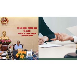 Tiêu chuẩn với người giữ chức vụ Vụ trưởng Vụ Pháp chế thuộc Bộ LĐTB&XH