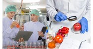 Thủ tục cấp giấy chứng nhận kiến thức về an toàn thực phẩm?