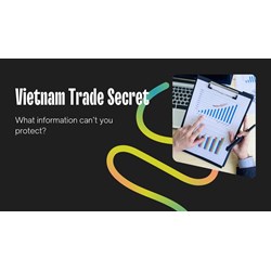 Vietnam Trade Secrets: What Information Can't You Protect?