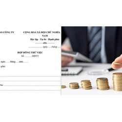 Có phải bồi thường khi tự ý hủy bỏ hợp đồng thử việc hay không?