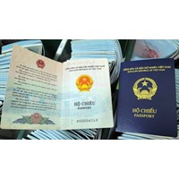 Có bắt buộc phải trình báo khi mất hộ chiếu phổ thông?