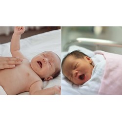Con sinh ra được 3 ngày tuổi thì có được cho nhận con nuôi?