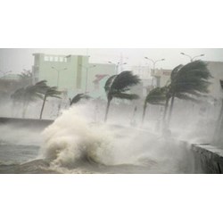 Hướng dẫn những việc người dân cần làm trước, trong và sau bão?