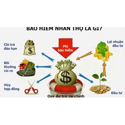 Trước khi mua bảo hiểm nhân thọ người dân cần phải lưu ý gì?