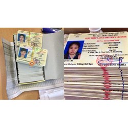 Tiêu chuẩn sức khỏe dự thi bằng lái xe A1 hiện nay như thế nào?