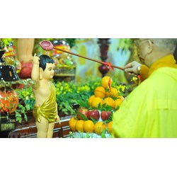 Quy định mới nhất về trách nhiệm của ban tổ chức Lễ Phật Đản
